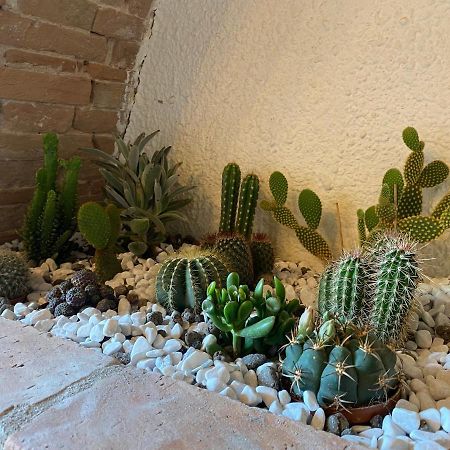 Cactus Suite Pisa Kültér fotó