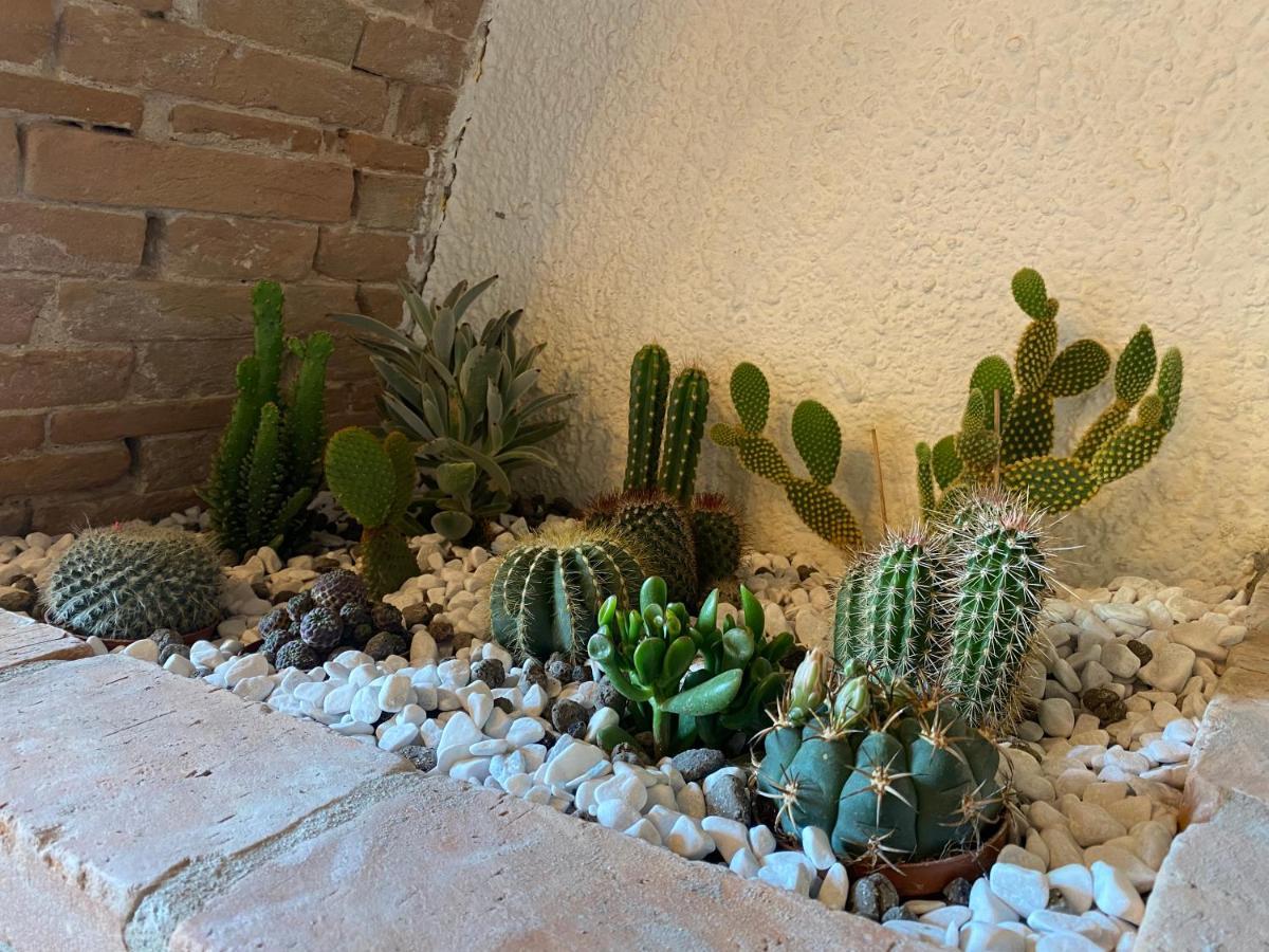 Cactus Suite Pisa Kültér fotó